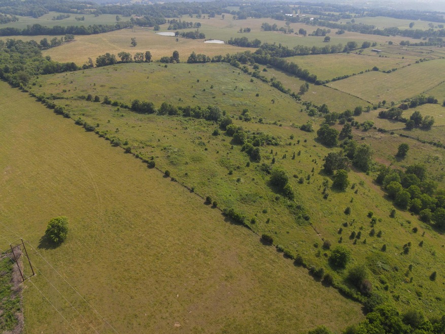 720 Oregon Rd, Versailles, KY 40383 - photo 1