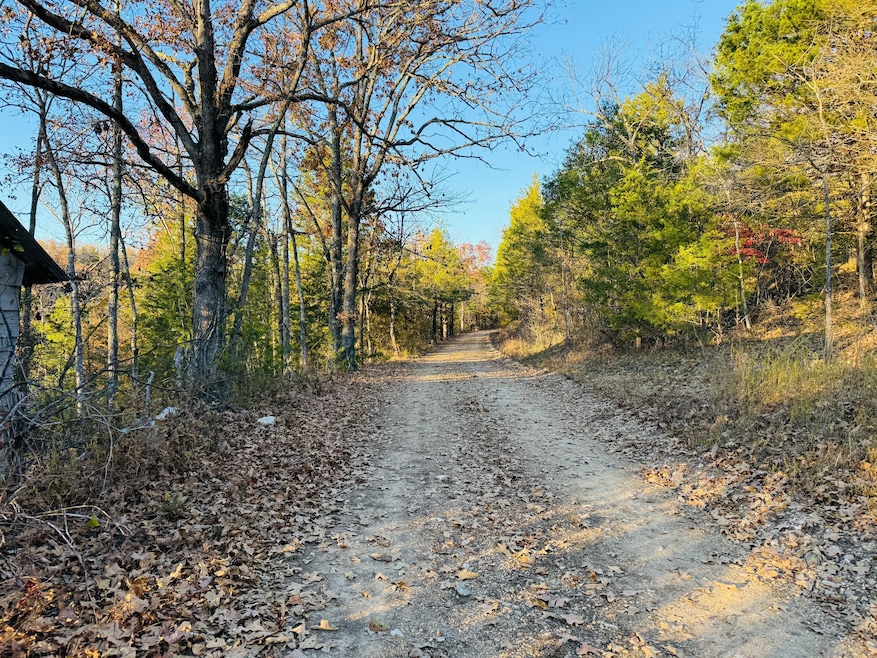0 County Road 871, Thornfield Township, MO 65762 - photo 1