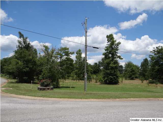 Gently sloping corner lot