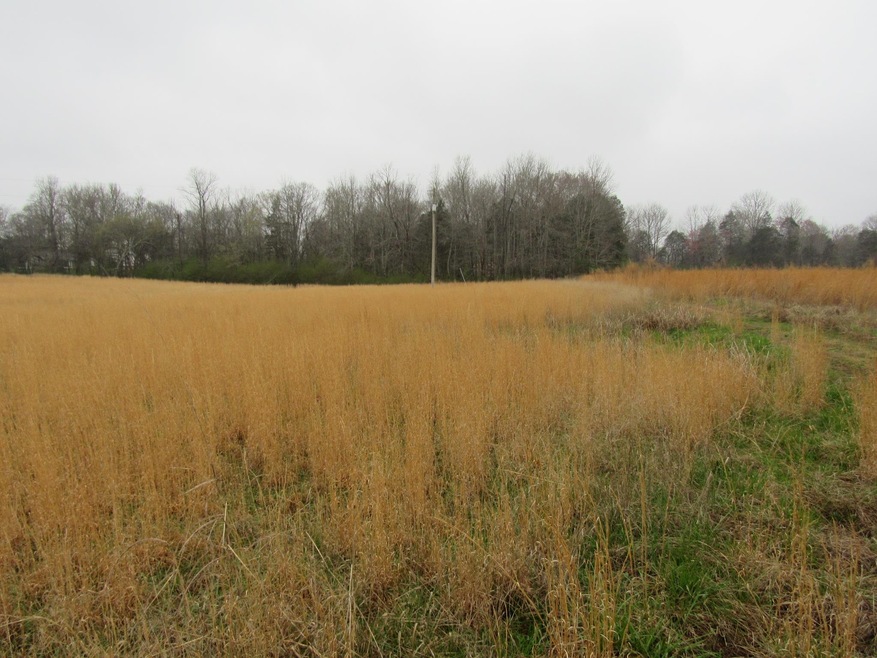 152 Horseshoe Bend Rd, Linden, TN 37096 - photo 1