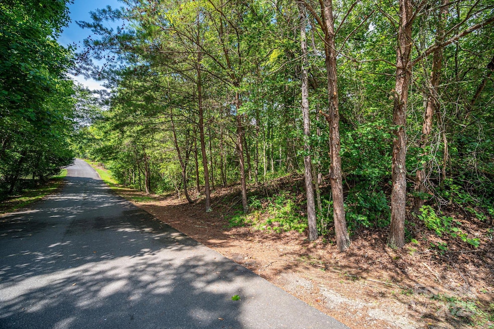 Lot 26 Line Dr, Forest City, NC 28043 - photo 1