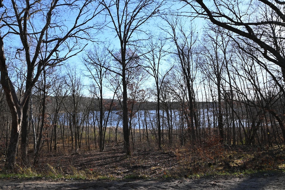 TBD Ottawa Dr, Browerville, MN 56438 - photo 1