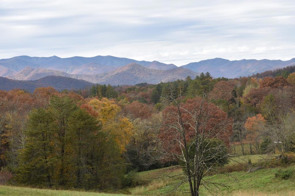 2000 Leatherman Gap Rd, Franklin, NC 28734 - photo 1