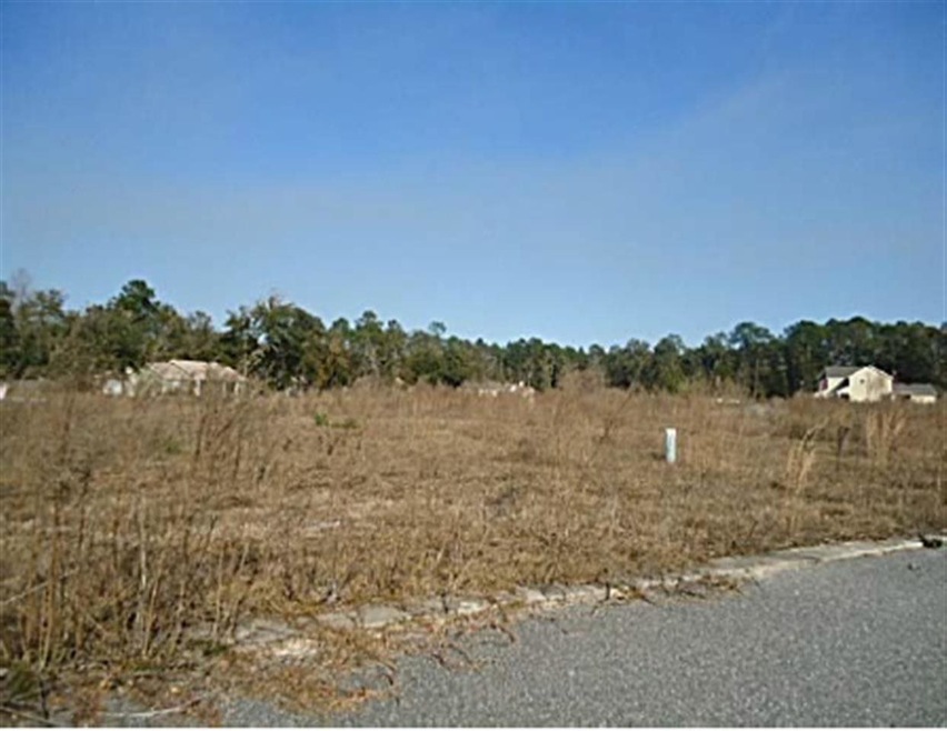 0 Excalibur Dr 31 Lots, Crawfordville, FL 32327 - photo 1