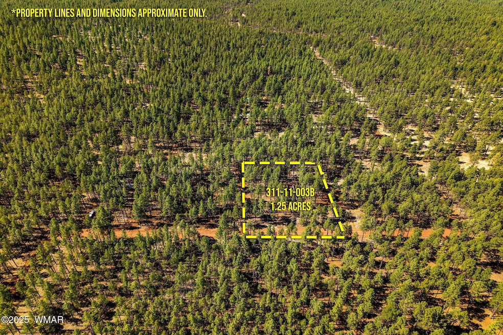 915BirdsongWay-Lakeside-AZ-ParcelLines-3