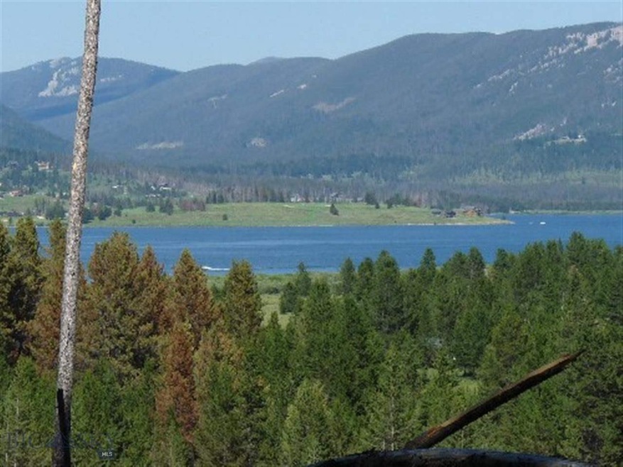 Georgetown Lake View
