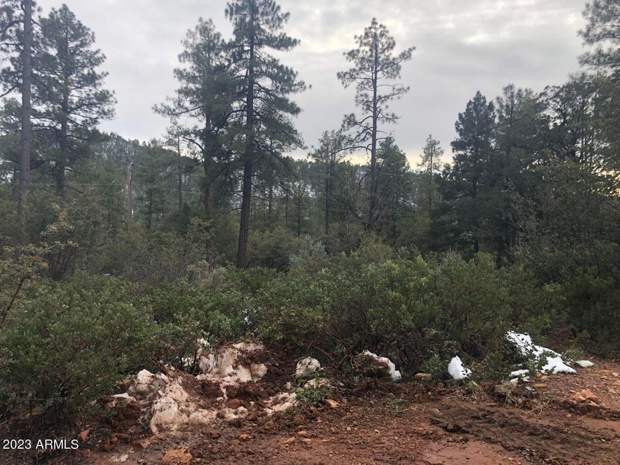 95 Wagon Wheel Way unit B5 ROS 3142 aka 3099, Strawberry, AZ 85544 - photo 1