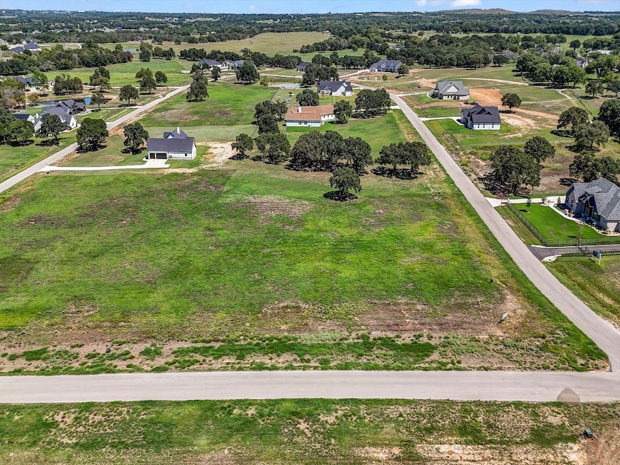 1023 Bluebonnet Ridge, Weatherford, TX 76087 - photo 1