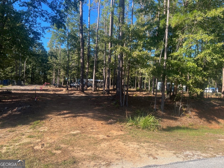 0 Calhoun Dr unit 10397976, Eufaula, AL 36310 - photo 1