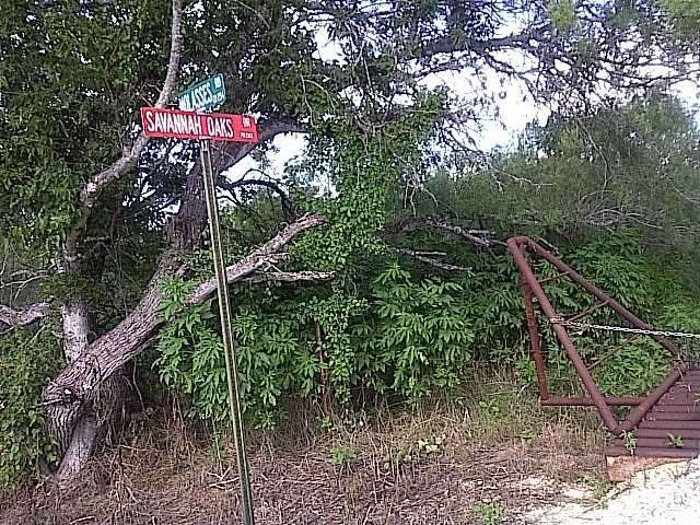 View : ACCESS TO SAVANNAH DRIVE