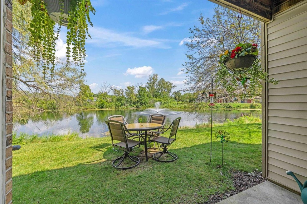 Pond Views