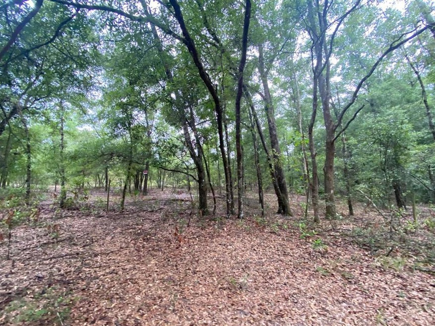 Lot 12 NE 125th Ln, Branford, FL 32008 - photo 1