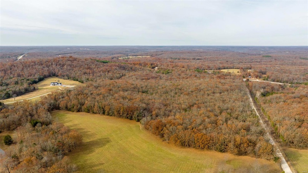 0 County Road 5320 (Tract C), Rolla, MO 65401 - photo 1