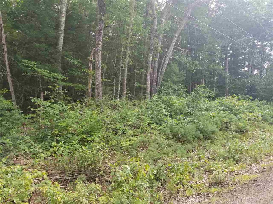 34a Forest Pond Rd, New Hampton, NH 03256 - photo 1
