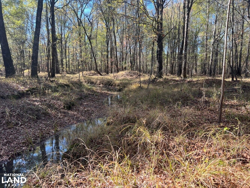 0 Hayes Crossing Rd unit 25566057, Millport, AL 35576 - photo 1