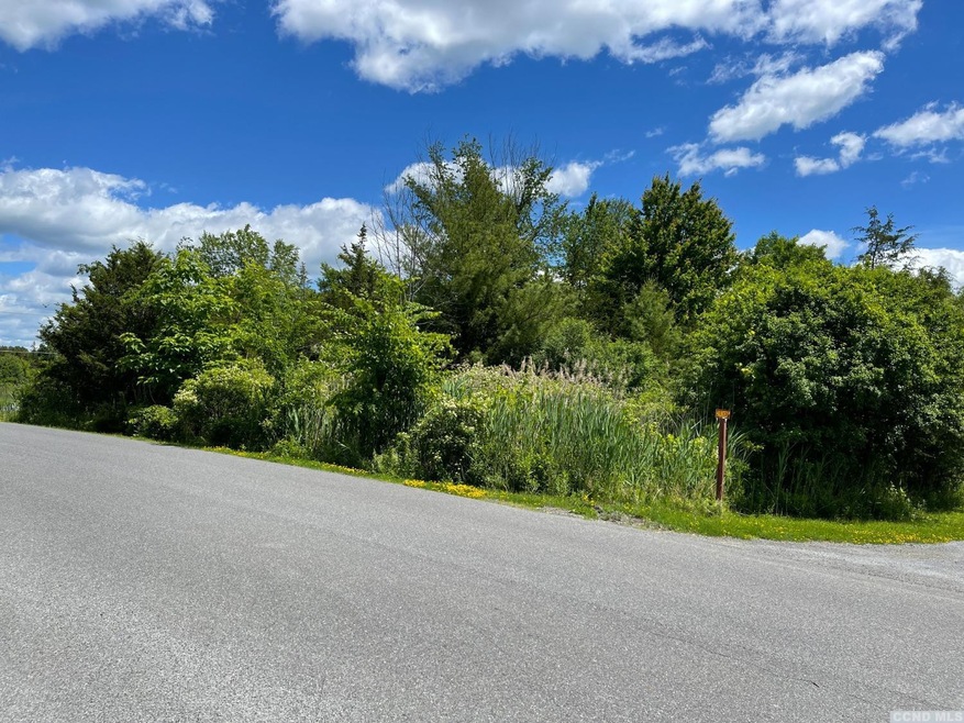 61 Haunted Cir, Coxsackie, NY 12015 - photo 1