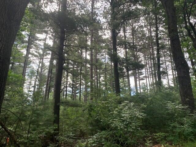 20220719171536328889000000-o