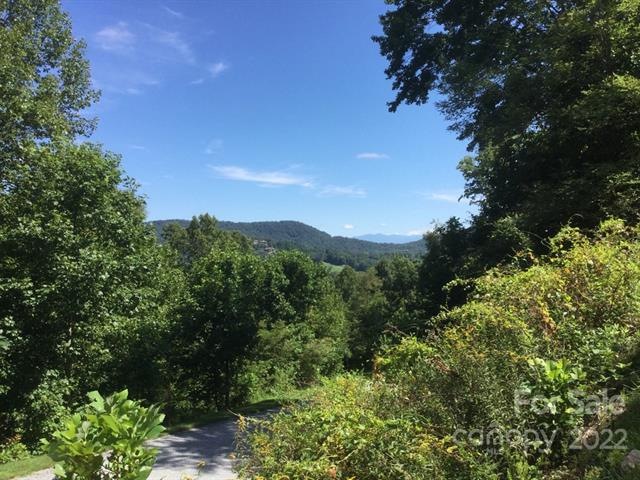 233 Smokemont Dr unit 61, Arden, NC 28704 - photo 1