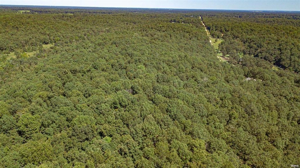 0 County Road 4611, Beaver Dam Township, MO 63901 - photo 1