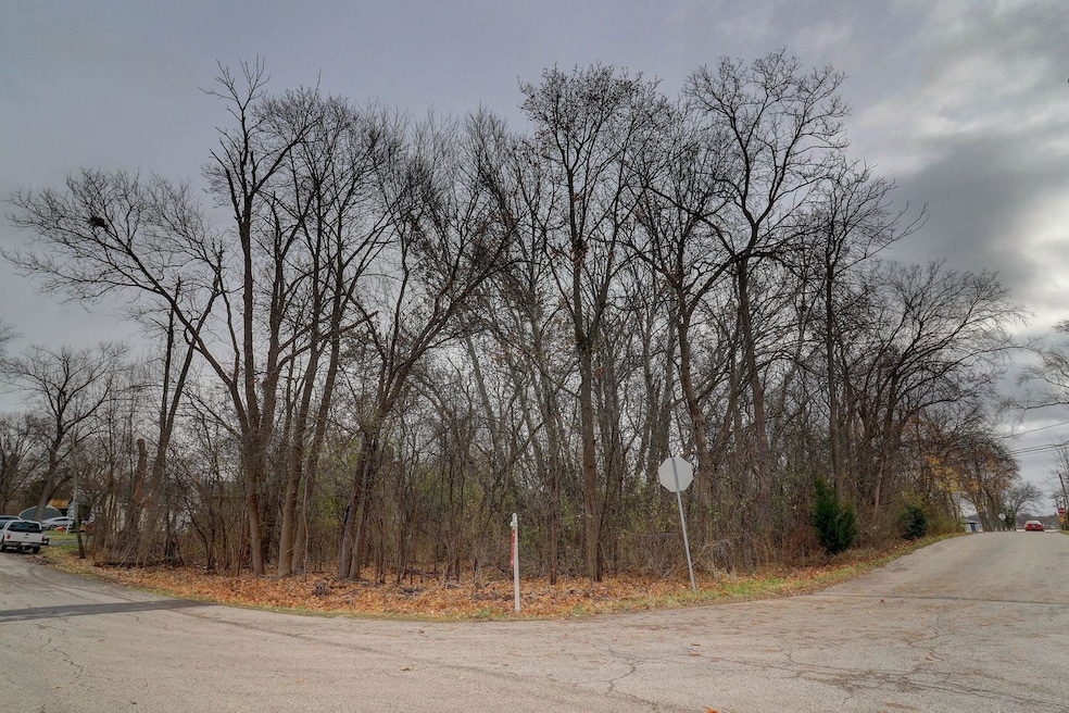 22771 E Lake Park Ave, Round Lake Beach, IL 60073 - photo 1