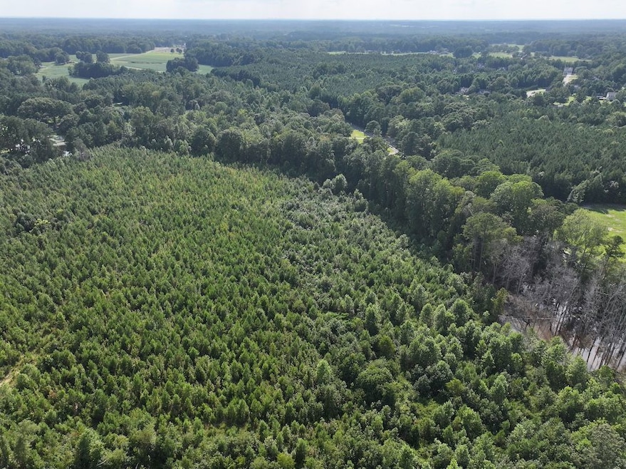 Rd unit LotWP001, Zebulon, NC 27597 - photo 1