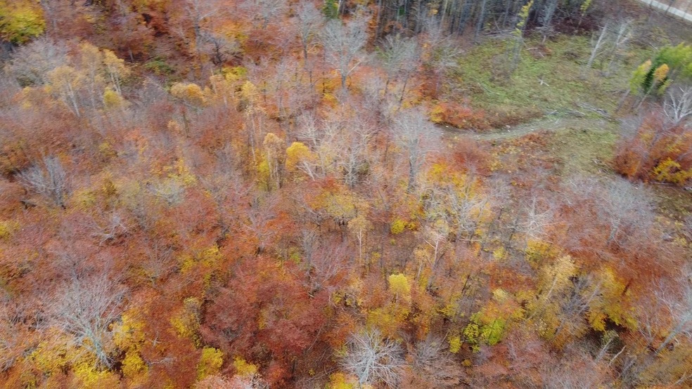 39 Grimes Rd, Lyndon, VT 05851 - photo 1