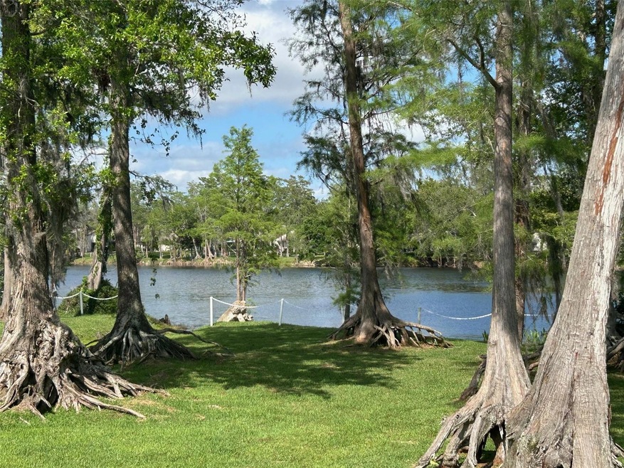 Gorgeous Views Of The Lake