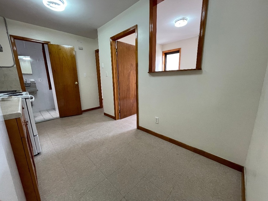 123 Mott St unit 13, New York, NY 10013 - photo 1