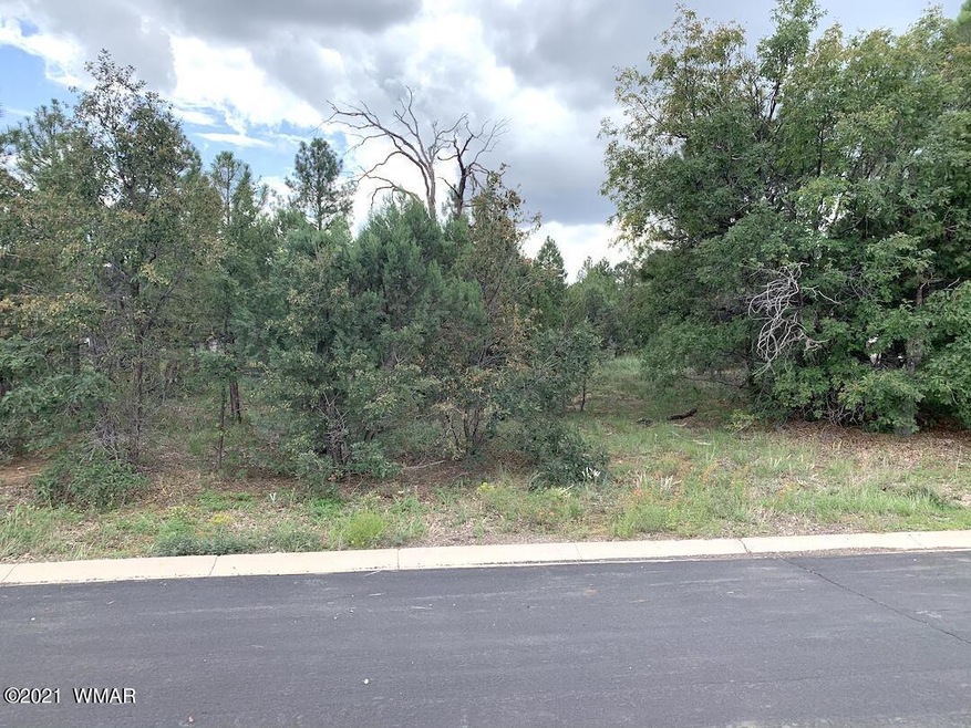 821 E Blue Jay Ln, Show Low, AZ 85901 - photo 1