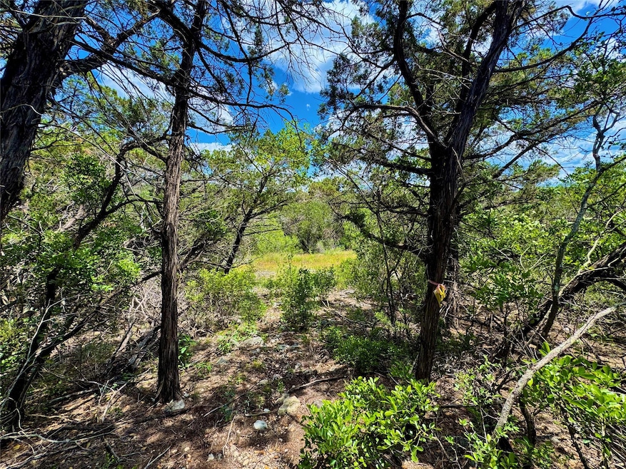 View of tree filled area