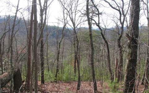 LT 17 Wildcat Run, Suches, GA 30572 - photo 1