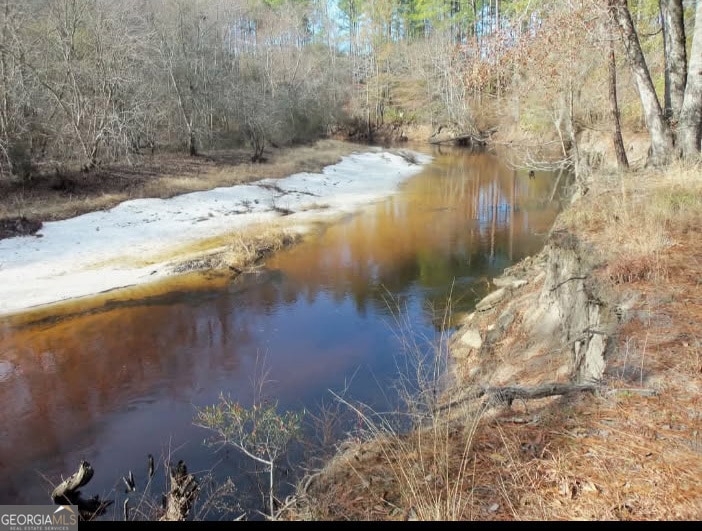 1200 Riverside Dr, Claxton, GA 30417 - photo 1