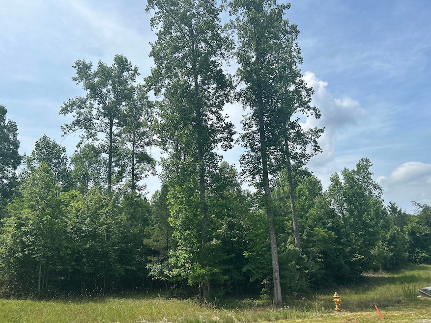 1255 Cherokee Path, Jasper, TN 37374 - photo 1