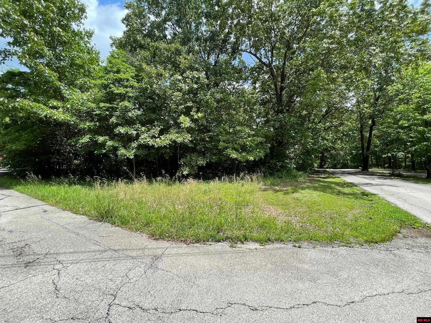 Lots 7 & 8 Deer Path Dr, Lakeview, AR 72642 - photo 1