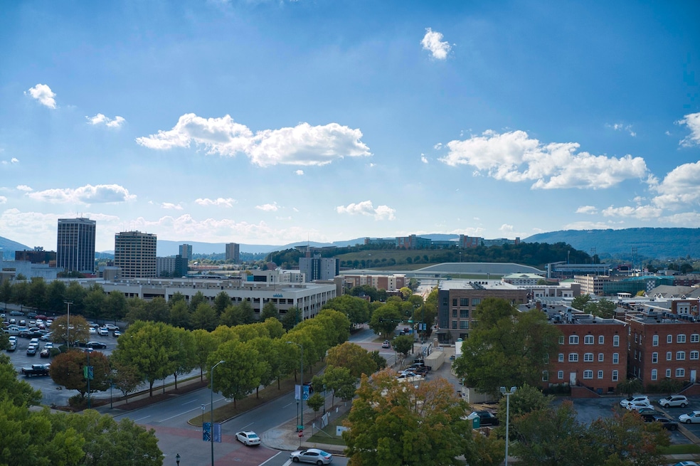 Your Rooftop View