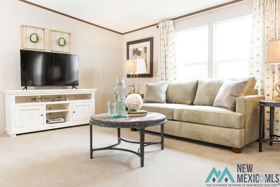 4213 Redbud St, Carlsbad, NM 88220 - photo 1