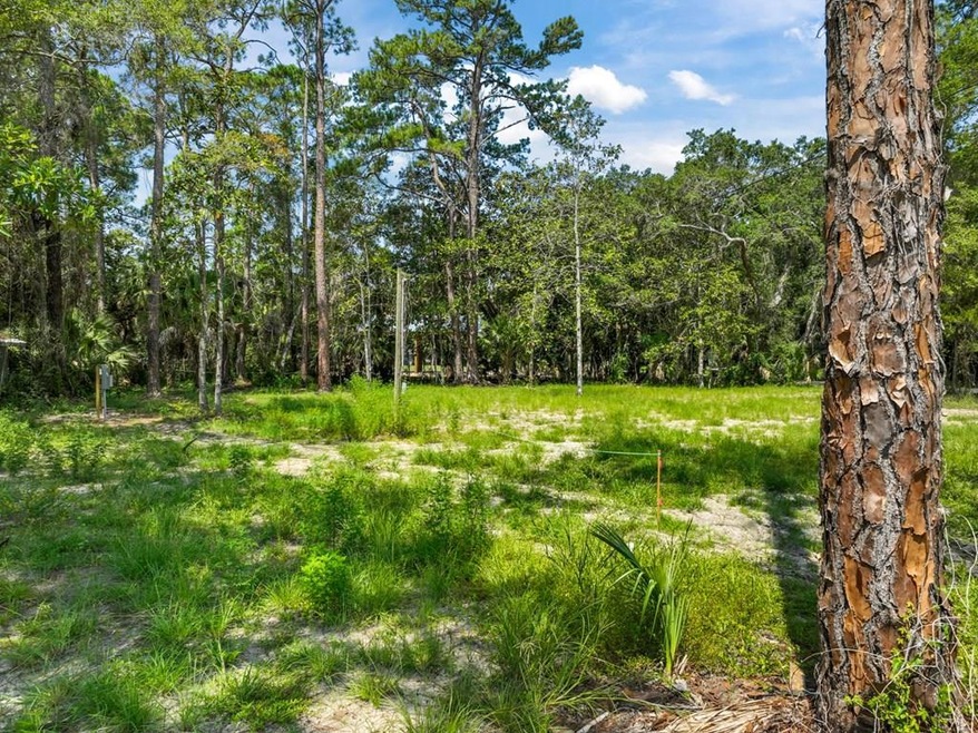 0 TBT 1st St, Steinhatchee, FL 32359 - photo 1