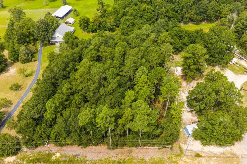 02-DJI_20250828134219_0301_D-HDR