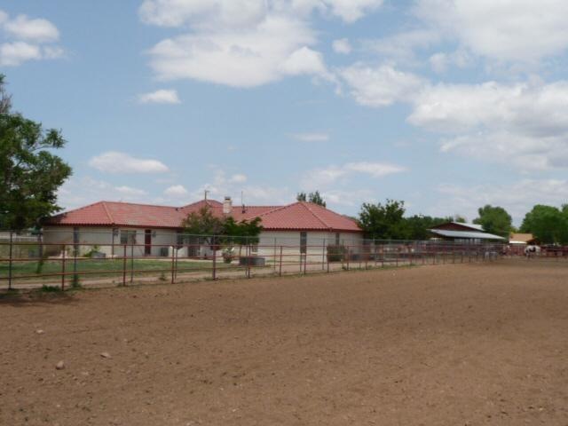 Primary Photo