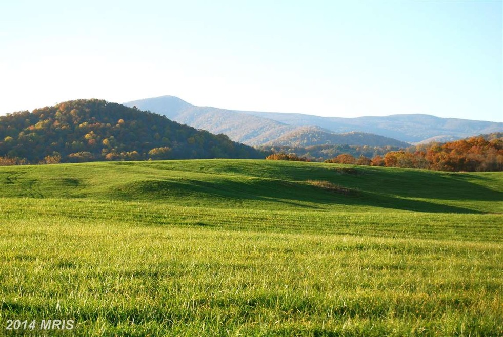 0 Richmond Rd unit 1002957146, Amissville, VA 20106 - photo 1