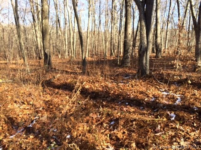 0 Hall Kilbourne Rd unit N10099291, Colchester, CT 06415 - photo 1