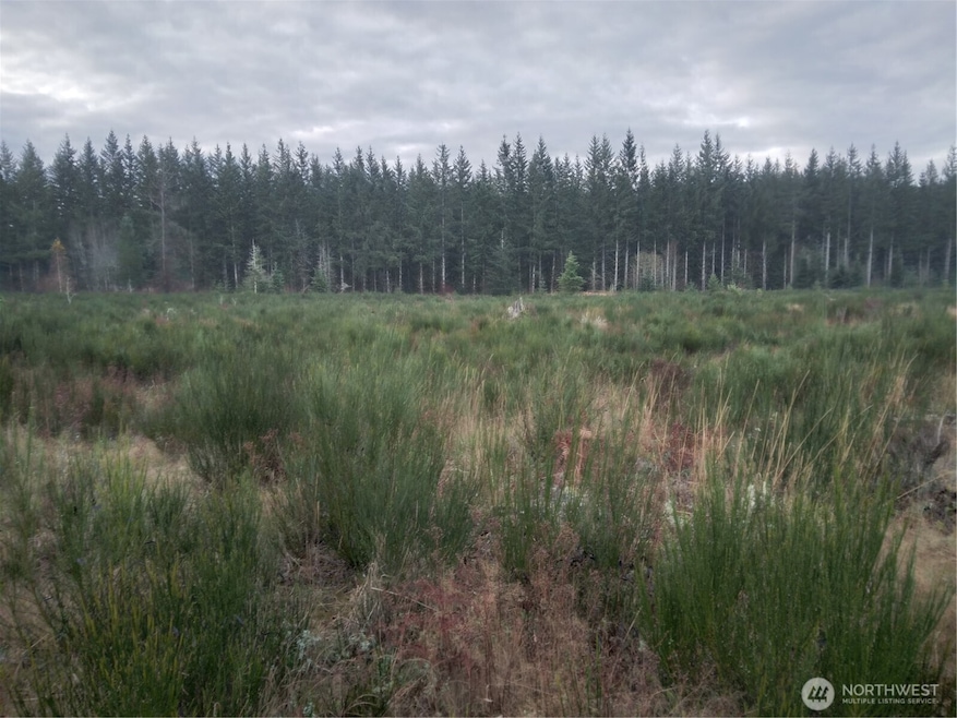 28590 SE Kent Kangley Rd, Ravensdale, WA 98051 - photo 1