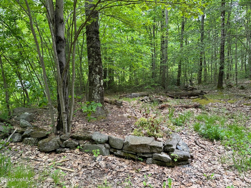 Clearing at Frontage of Property