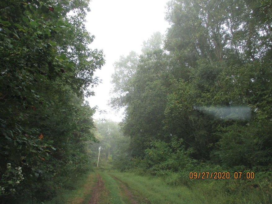 1 Greenfield Rd, Prospect, TN 38477 - photo 1