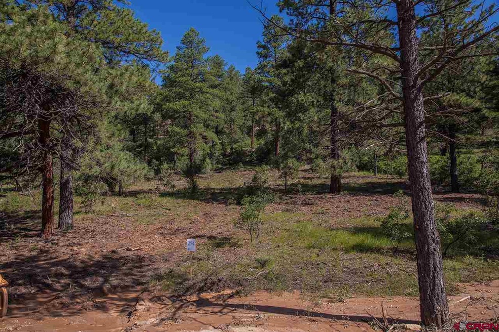 0 Red Canyon Trail unit 707823, Durango, CO 81301 - photo 1