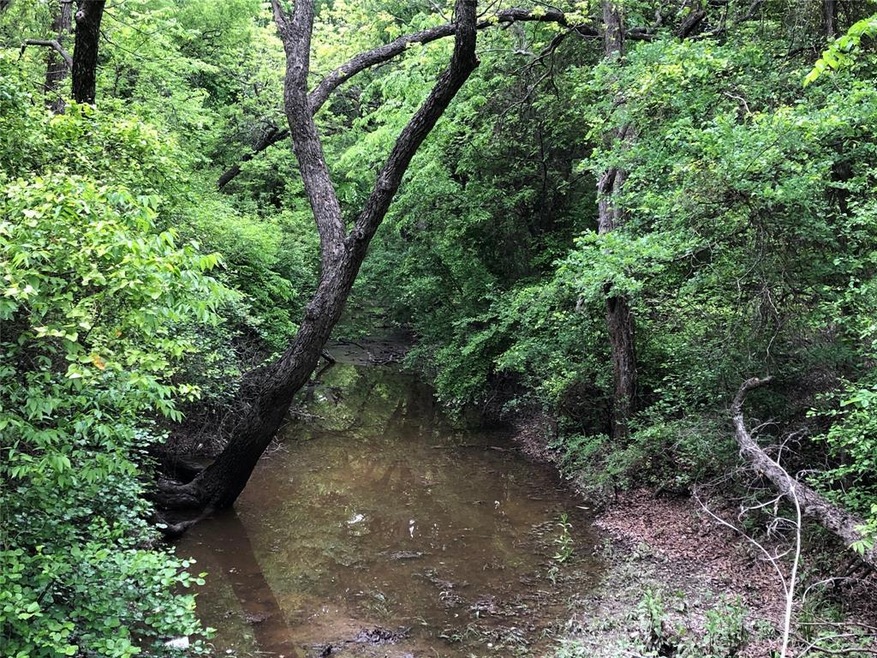 Lot 1 Haven Ct, Rhome, TX 76078 - photo 1