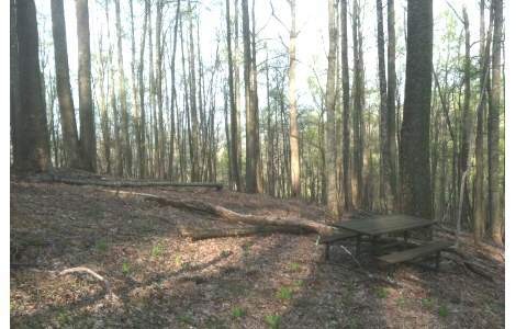 M 216 Walnut Ridge, Ellijay, GA 30536 - photo 1