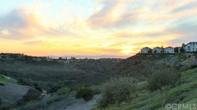 CATALINA ISLAND VIEW FROM BACKYARD