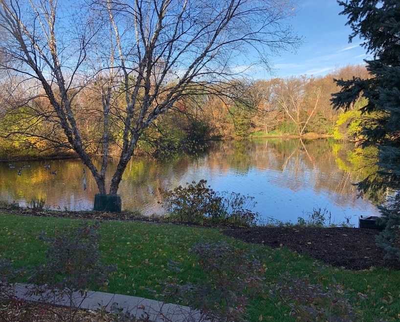 531 Arbor Ln, Oswego, IL 60543 - photo 1