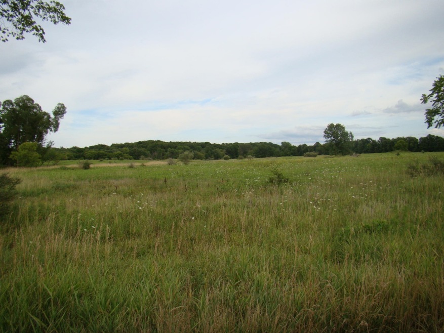 DSC06149